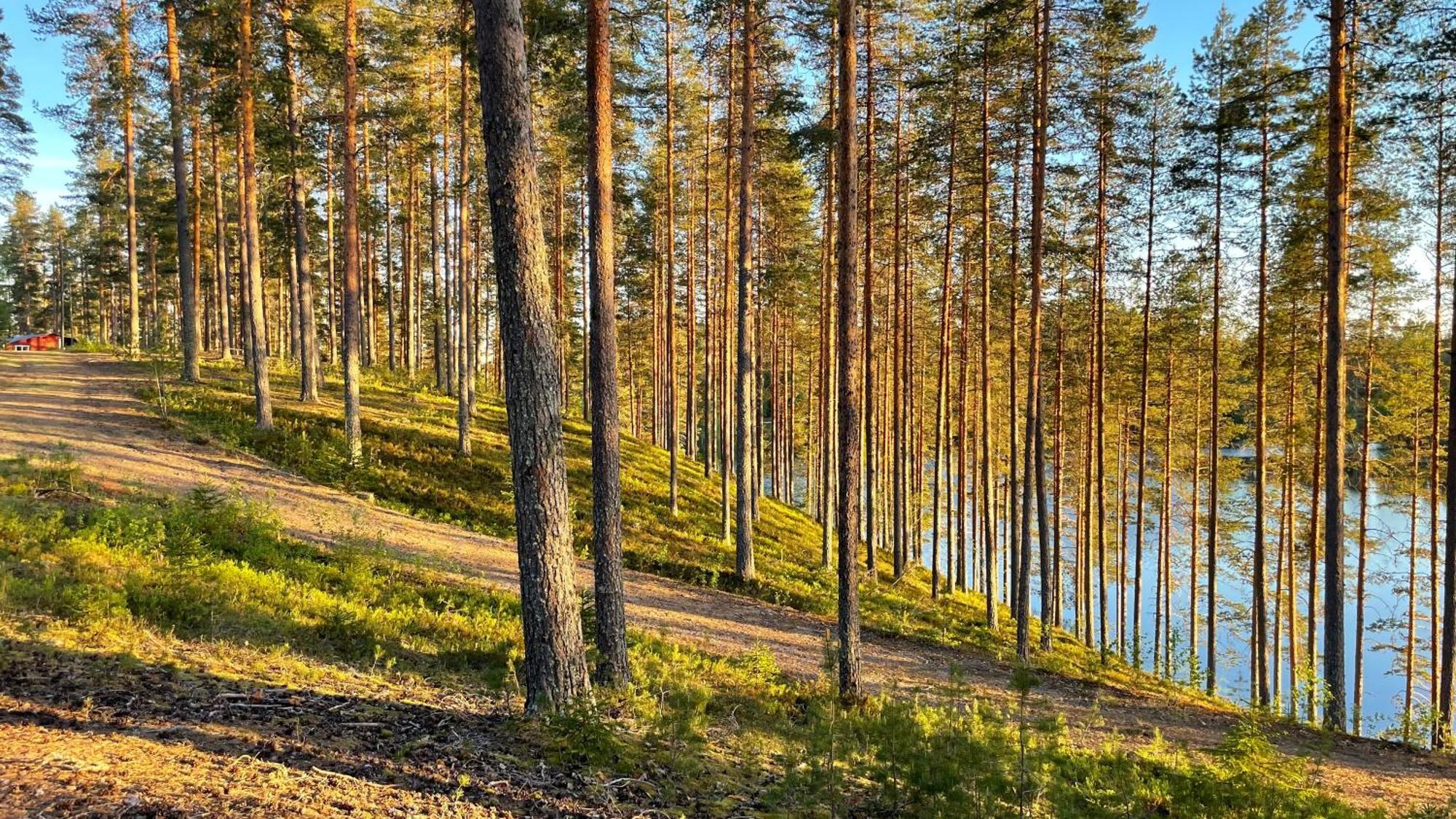 Ahvenlampi Camping Saarijarvi Luaran gambar